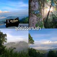 แพลนเที่ยวเขาพะเนินทุ่ง 1 คืน 