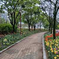 Yeouido Hangang Park (Seoul)