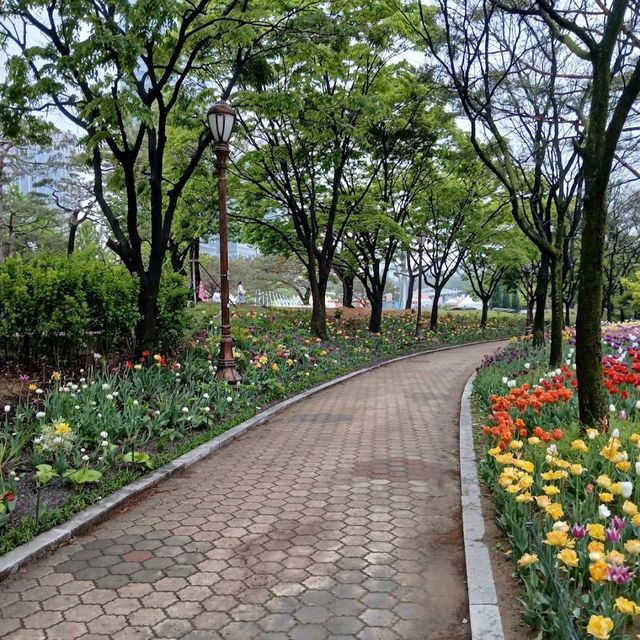 Yeouido Hangang Park (Seoul)