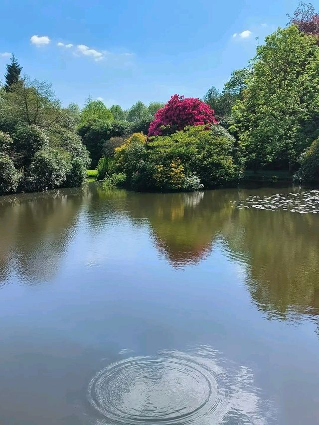 Stepping into a Victorian Wonderland: Biddulph Grange Garden