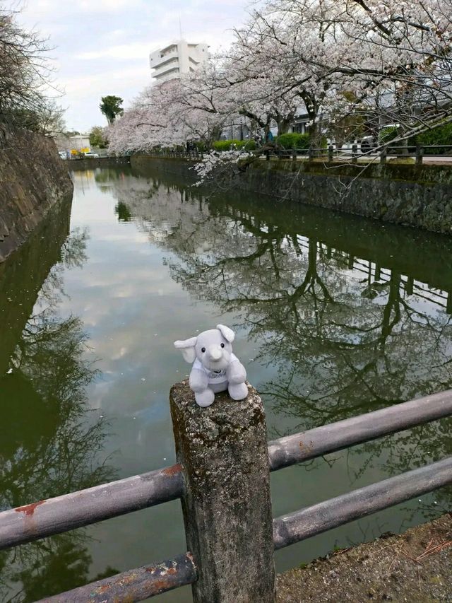 Kobe: Japan’s Port City of Elegance, Culture, and Flavors