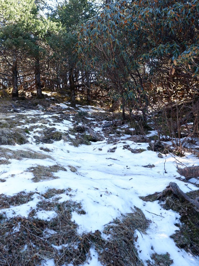 จองทัวร์ Jiaozi Snow Mountain  กับ Trip.com