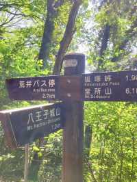 A Hike Through History – Exploring Hachioji Castle Ruins & Fujimidai Views