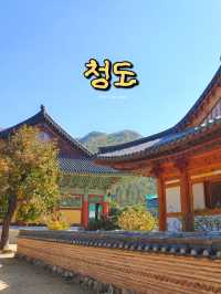 아름다운 자연을 만날 수 있는 청도 ✨☀️🍀