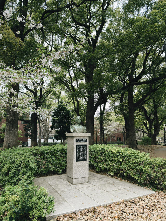 上野恩賜公園繡球花季｜東京綠意的浪漫詩篇