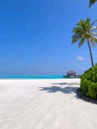  The Nautilus Maldives Resort: Your Private Island Dream, Unscripted 🌊