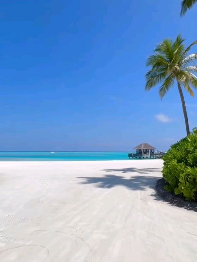  The Nautilus Maldives Resort: Your Private Island Dream, Unscripted 🌊