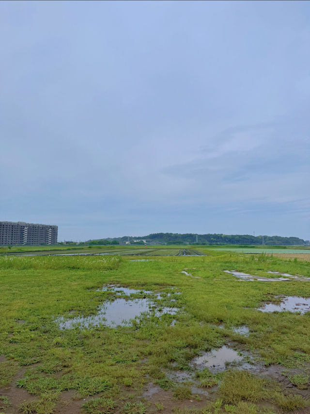 美味しすぎる🤍濃厚な絶品ソフトクリームが食べられる牧場🐄🍦【千葉県】