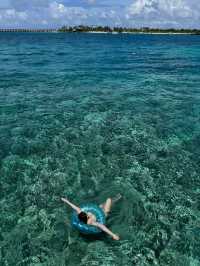 🏝️🤿Super invincible and beautiful Maldives (all-inclusive!)