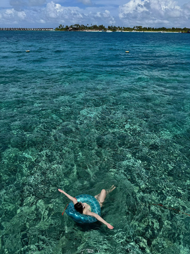 🏝️🤿Super invincible and beautiful Maldives (all-inclusive!)