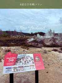 【NZ】タウポ＆トンガリロ4泊5日攻略🗻自然と火山のパワーを体感するアドベンチャー旅
