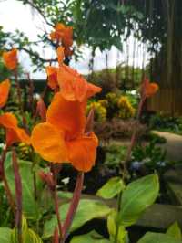 Discover 1 Utama’s Secret Garden in the Sky