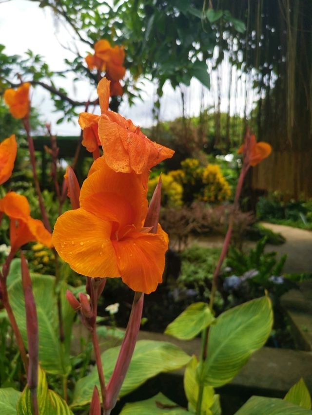 Discover 1 Utama’s Secret Garden in the Sky