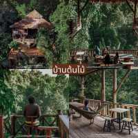 10 ที่พักเชียงใหม่หน้าฝนใกล้ชิดธรรมชาติ 