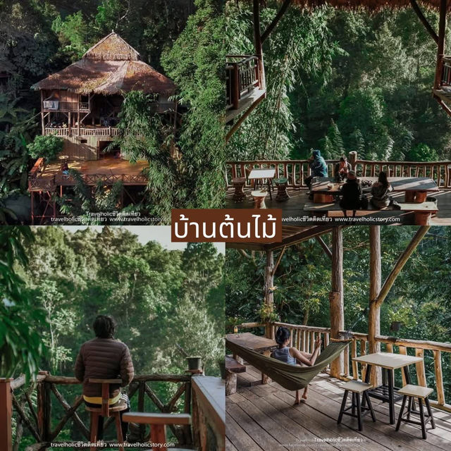 10 ที่พักเชียงใหม่หน้าฝนใกล้ชิดธรรมชาติ 