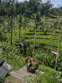 Ubud: Bali’s Soulful Heartbeat of Nature and Culture