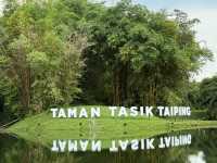 Hidden Gem in Malaysia | Taiping Lake, Perak’s Serene Escape 🌳💧
