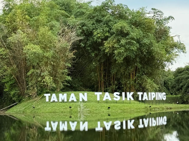 Hidden Gem in Malaysia | Taiping Lake, Perak’s Serene Escape 🌳💧