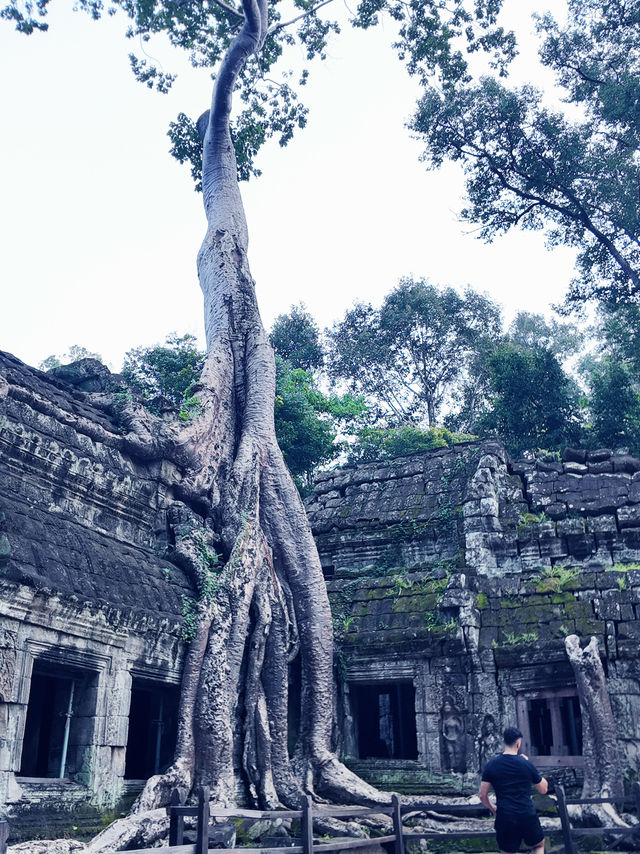 List of 10 popular temple in Siam reap 