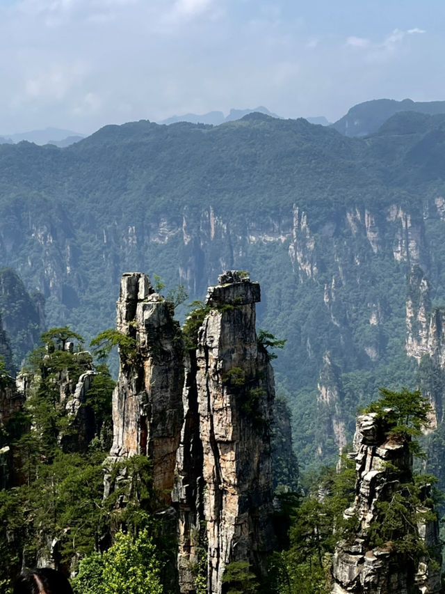 Zhangjiajie National Park is very confusing but it doesn’t need to be!! 