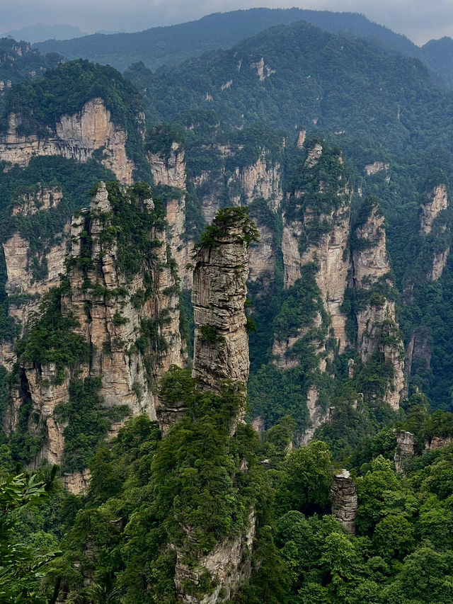 Zhangjiajie National Park is very confusing but it doesn’t need to be!! 