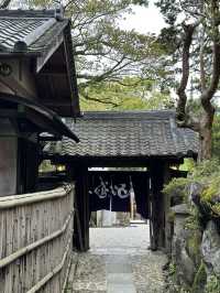 Day trip from Osaka to Nara