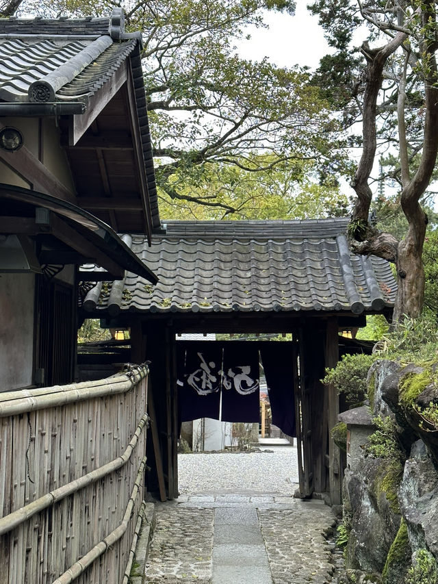 Day trip from Osaka to Nara