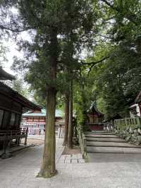 【大分旅行】別府では有名なパワースポット⛩見どころが多い神社⛩