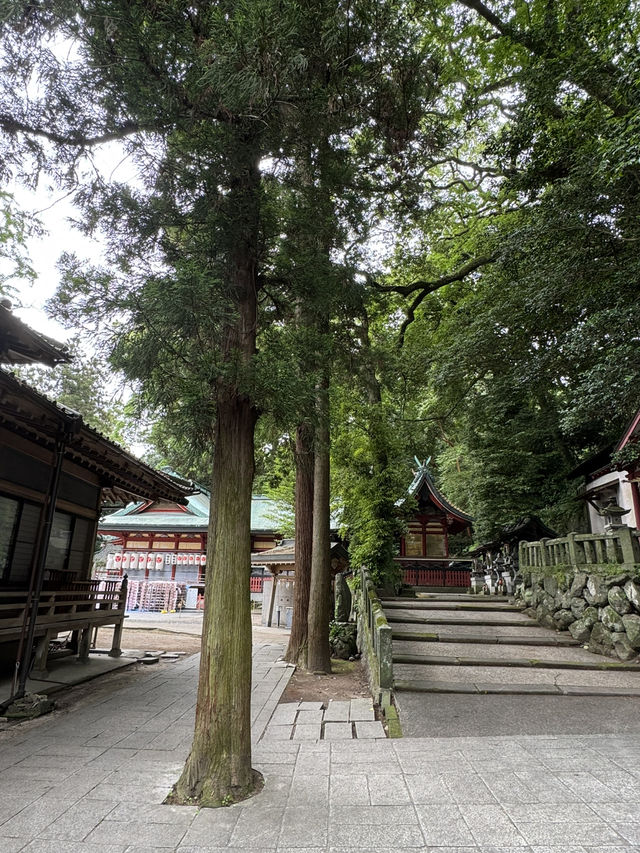 【大分旅行】別府では有名なパワースポット⛩見どころが多い神社⛩