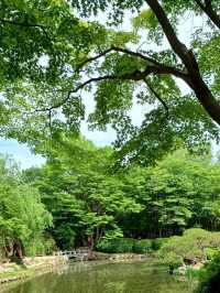 경주의 품격을 보여주는 상징적인 장소