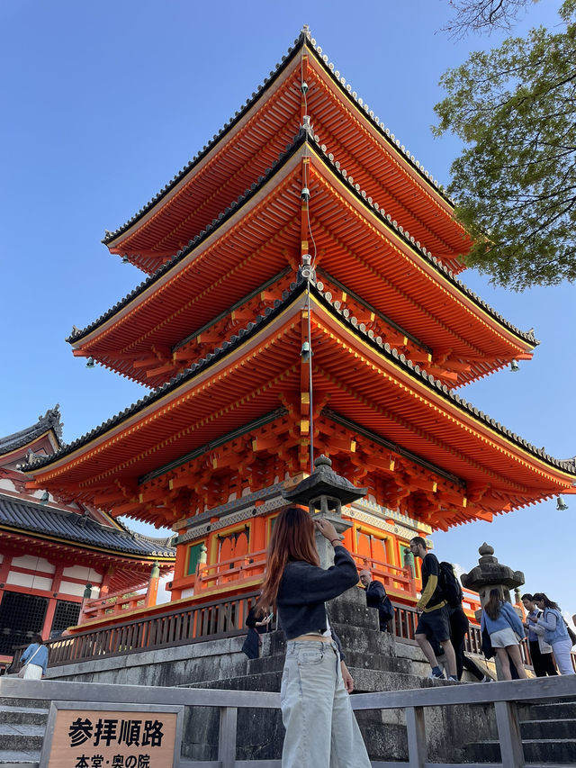 SPENT <1.5K IN JAPAN 💰 (SOLO)
