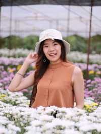 เที่ยวสวนบิ๊กเต้