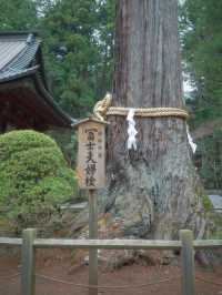 來富士山不能錯世外桃源的神社