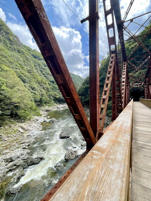 A Day Exploring the Old Fukuchiyama Line Trail 🚂🌿