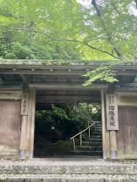 🍃🪞**【瑠璃光院（るりこういん）】 一枚の写真に、永遠の美しさを。