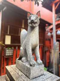 京都｜超隱秘岬神社藏身鬧市巷弄 與改變日本命運坂本龍馬關聯