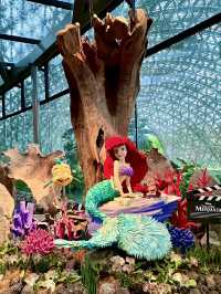 Garden of Wonder — Disney Magic in Full Bloom at Gardens by the Bay