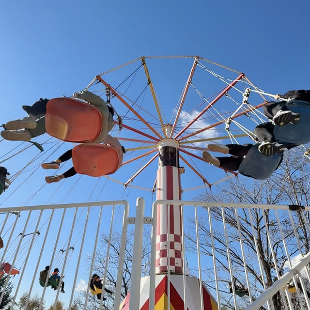 1日中楽しめる‼️レトロ遊園地と動物園