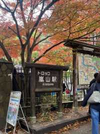 🚋【京都 嵐山】風ごと、景色ごと、心を運ぶ。「嵯峨野トロッコ列車」で五感の旅へ🍁🌿