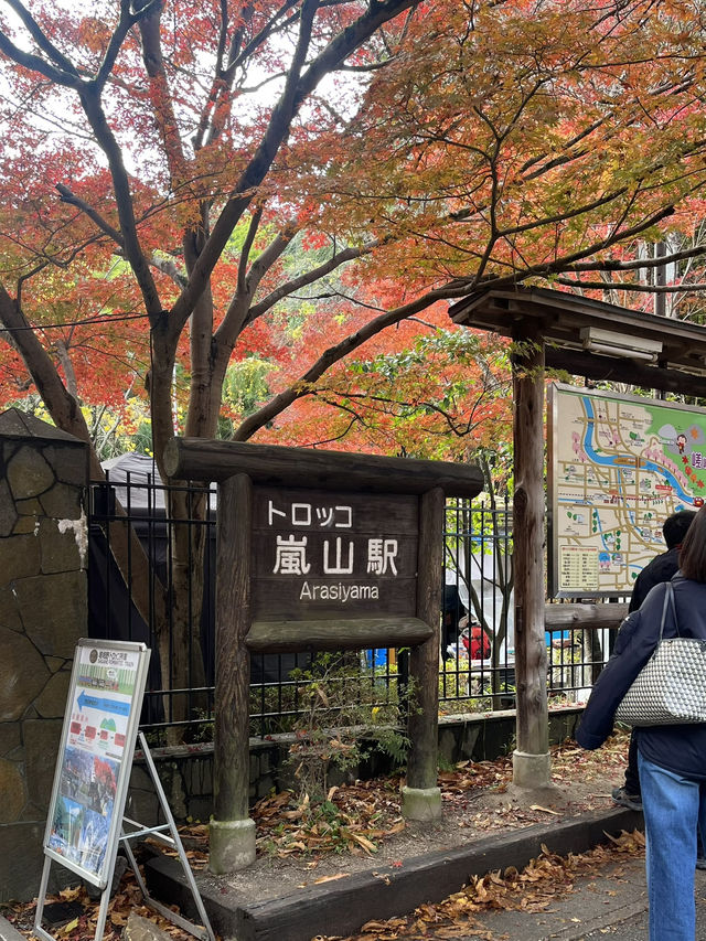 🚋【京都 嵐山】風ごと、景色ごと、心を運ぶ。「嵯峨野トロッコ列車」で五感の旅へ🍁🌿