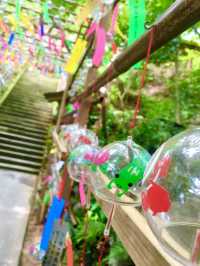 【福岡】かえる寺を巡る旅