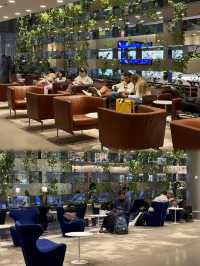 Overnight layover in Doha with Al Maha