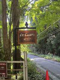 【関市 せきや】刃物のまちで見つけた、心をほどく小さなオアシス🌿🍵