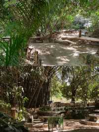 บางพระเรือ ณ ห้วยท่าไทร🍃🌳