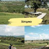แจกพิกัดเชียงราย - ที่พัก คาเฟ่ ร้านเด็ด และที่พัก