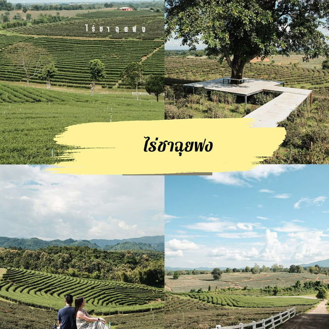 แจกพิกัดเชียงราย - ที่พัก คาเฟ่ ร้านเด็ด และที่พัก