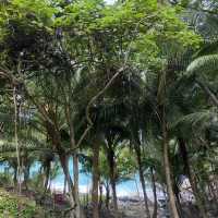 Freedom Beach