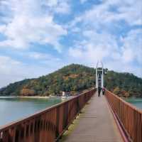 Gangjin City Center Adventures