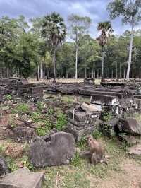Siem Reap Travel Highlights 
