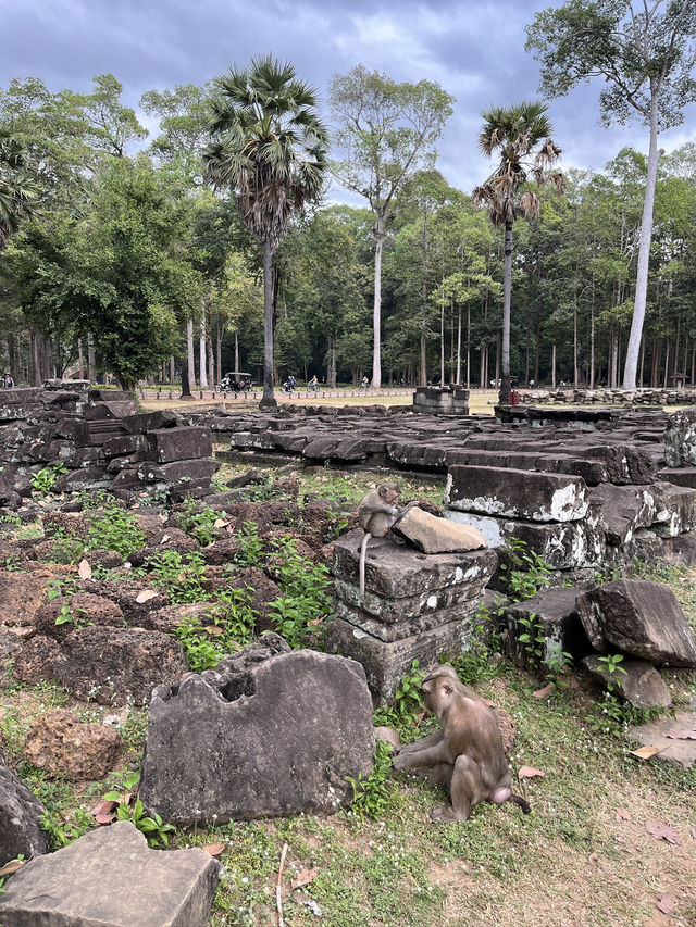 Siem Reap Travel Highlights 